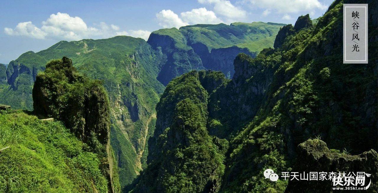 好消息贵港市区到平天山国家森林公园的公交线路即将开通