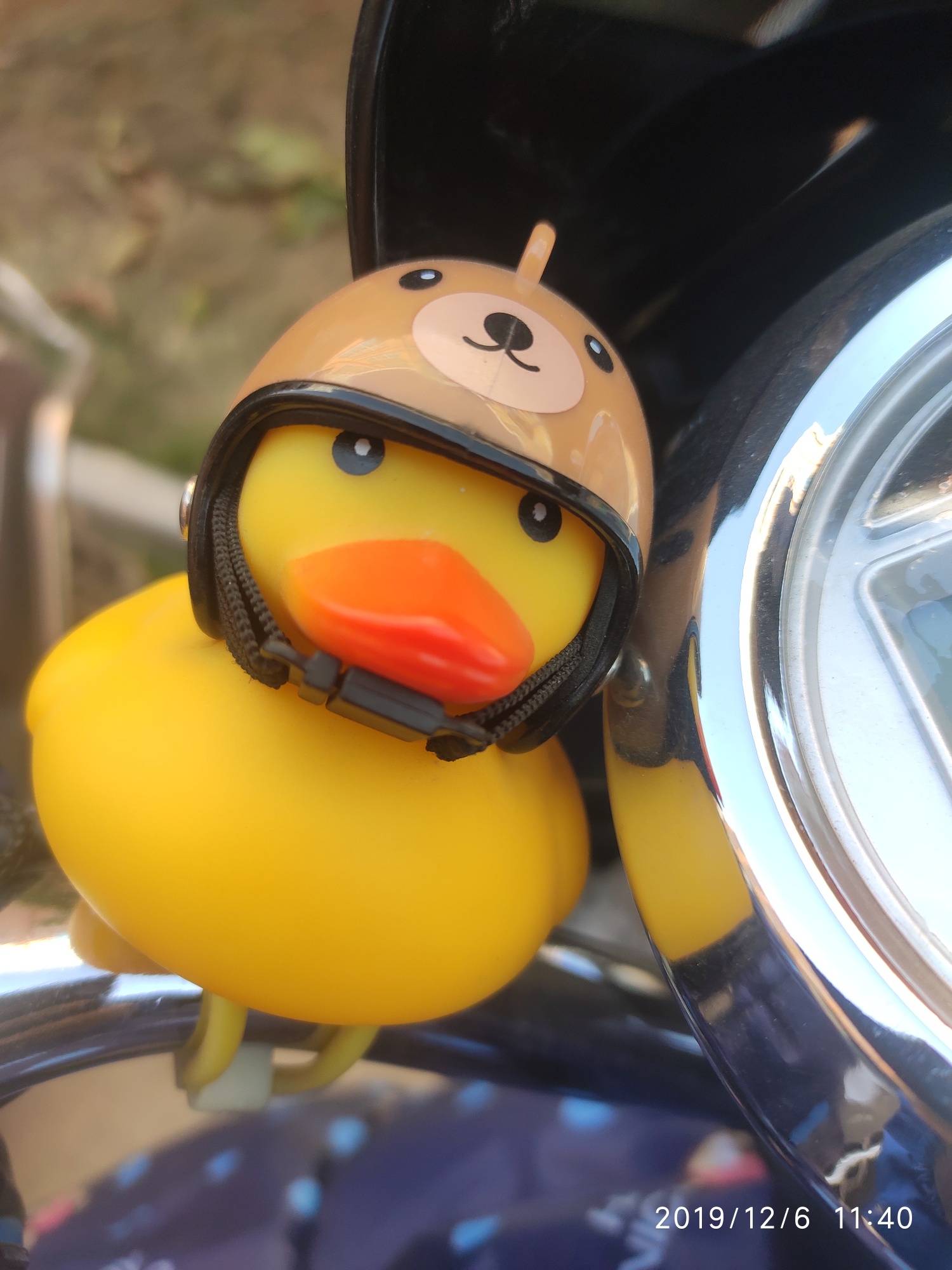 女孩子就是可爱,太萌了,小黄鸭戴头盔,侬队都被这个小鸭子萌翻了