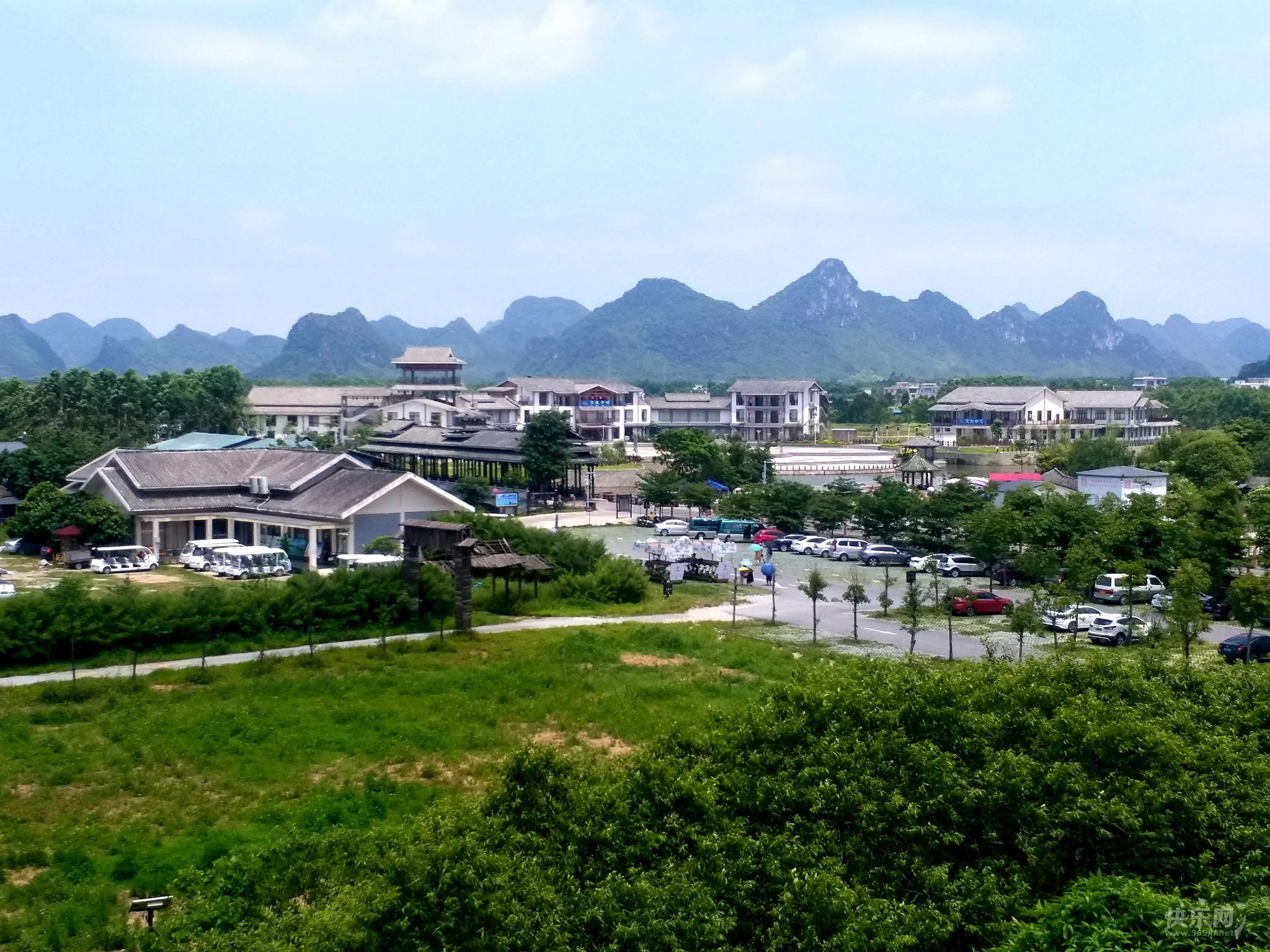 荷美覃塘的尴尬客未至已稀疏个中荷花三两朵